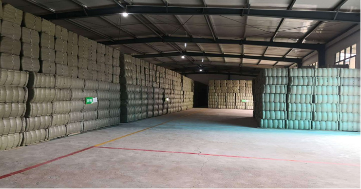 &ldquo;小草藥&rdquo;孕育&ldquo;大標(biāo)準(zhǔn)&rdquo;：確山鵝不食草規(guī)范化種植助農(nóng)增收