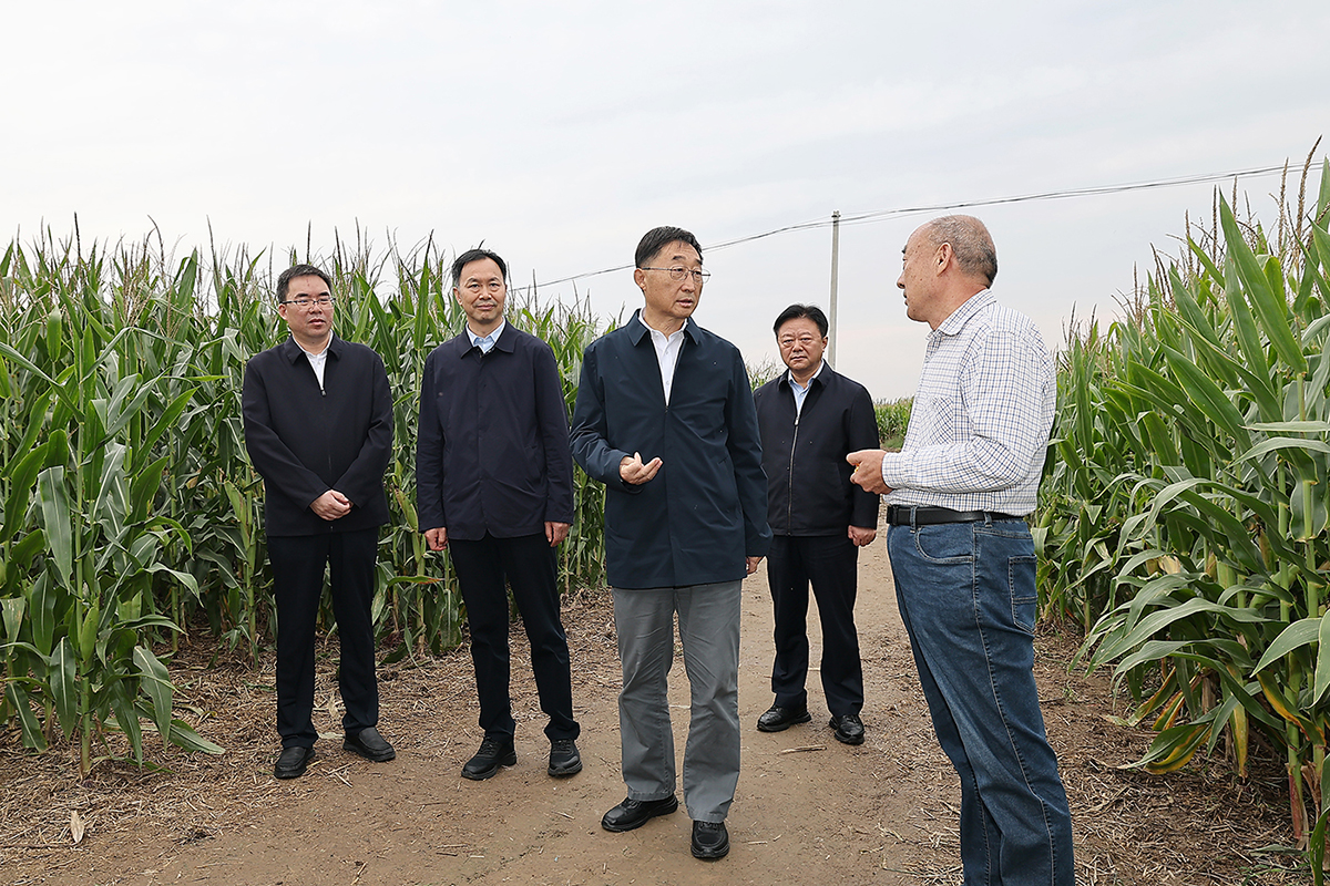 劉寧到扶溝縣鄲城縣調(diào)研