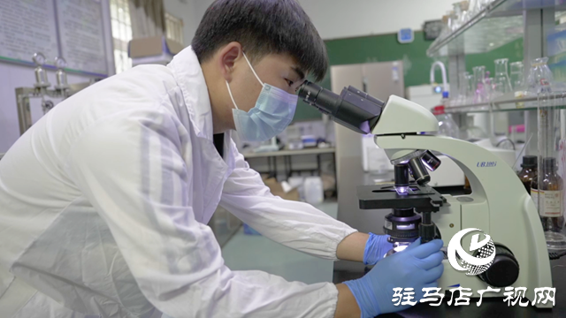 黃淮學(xué)院學(xué)子在第十屆全國大學(xué)生生命科學(xué)競賽中斬獲多項獎項