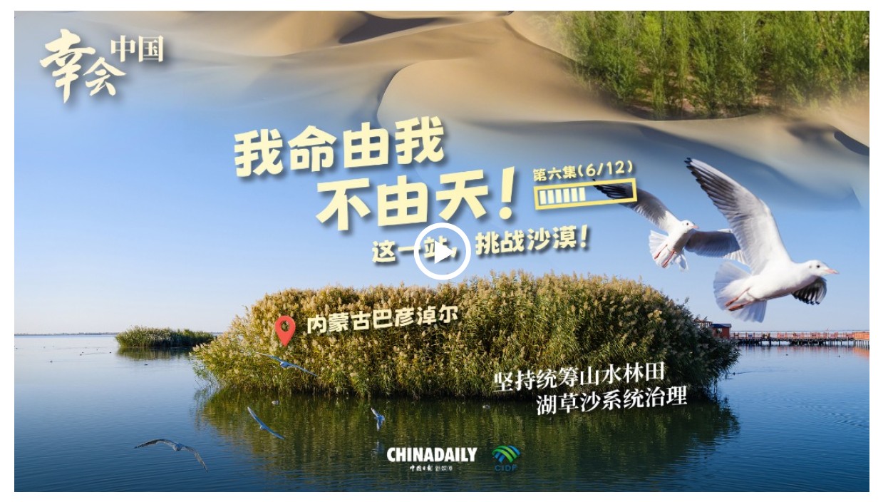 幸會(huì)中國(guó) | 荒漠變林海，三北工程繪出生態(tài)奇跡