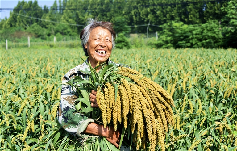沃野良田豐收正當(dāng)時(shí)
