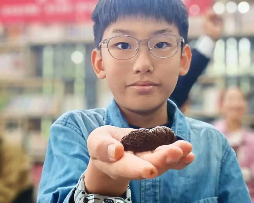 探秘非遺蓍草 傳承天中文脈 | 駐馬店市圖書館舉辦非遺蓍草手工制作活動(dòng)
