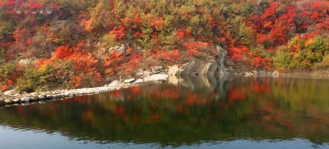 秋日漫步：橙紅橘綠時的詩意畫卷