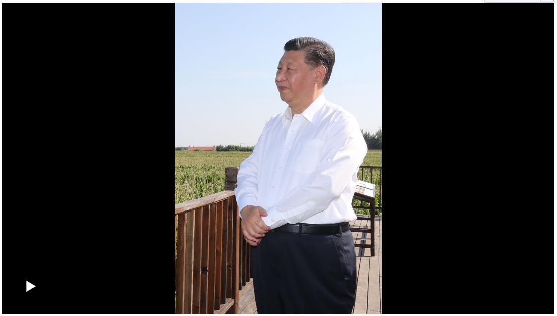 習(xí)語(yǔ)｜“中國(guó)的飯碗一定要端在自己的手里”