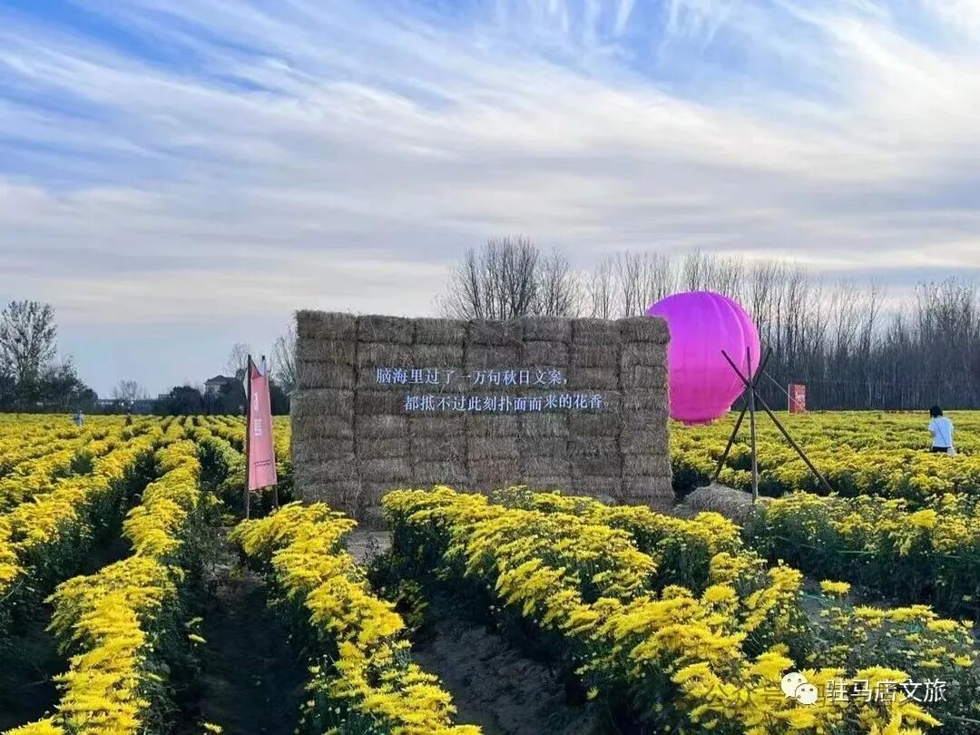 秋日漫步：橙紅橘綠時的詩意畫卷