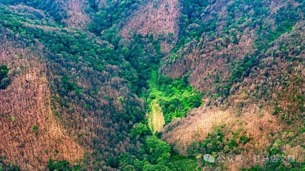 秋日漫步：橙紅橘綠時的詩意畫卷