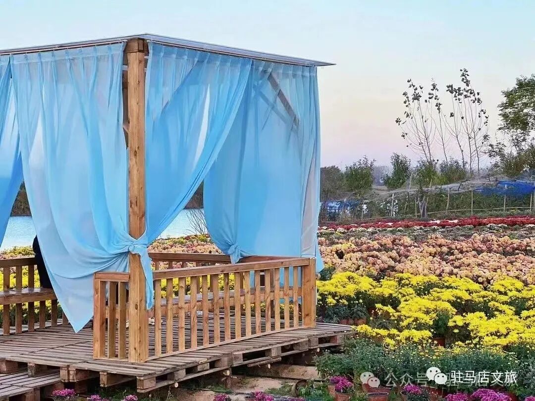 秋日漫步：橙紅橘綠時的詩意畫卷