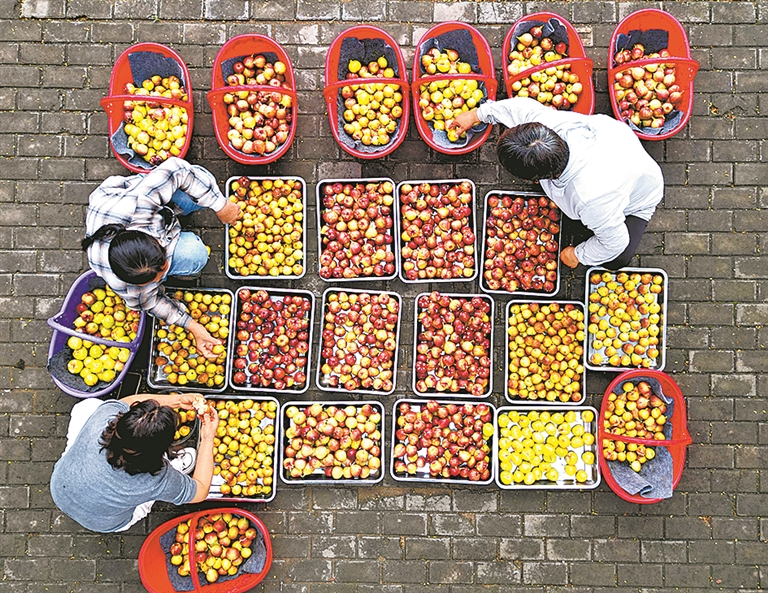 豫見(jiàn)好“豐”景