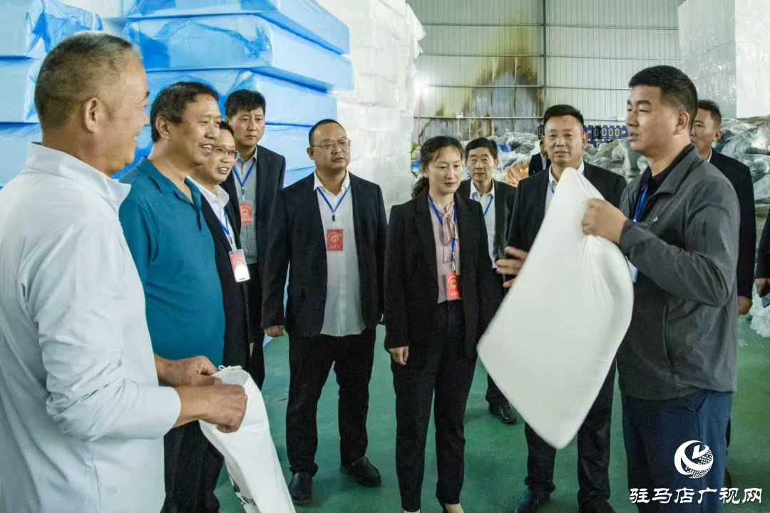 正陽縣清源街道人大代表：深入企業(yè)聽訴求 助企紓困解難題