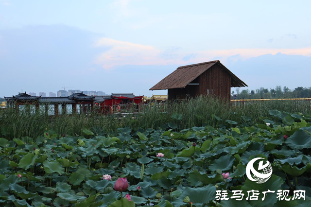 印象練江湖熙汐水岸主題樂園：解鎖秋日戶外愜意時(shí)光