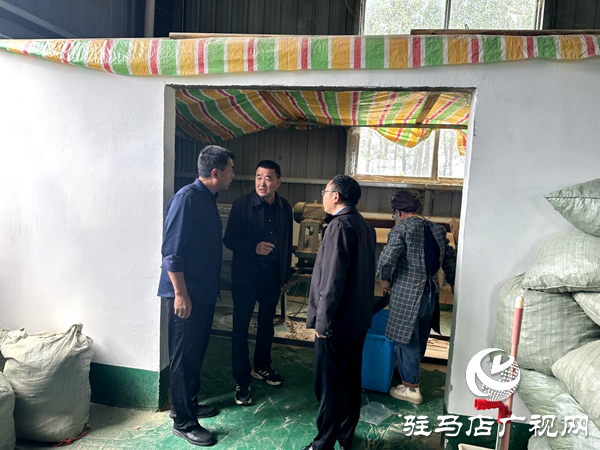 平輿縣射橋鎮(zhèn):實地走訪調(diào)研 助力企業(yè)再上新臺階