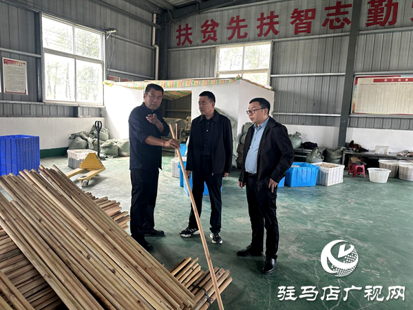 平輿縣射橋鎮(zhèn):實地走訪調(diào)研 助力企業(yè)再上新臺階