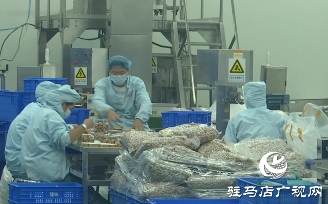 臻味上蔡食品:產(chǎn)銷兩旺趕訂單 創(chuàng)新發(fā)展蓄能量