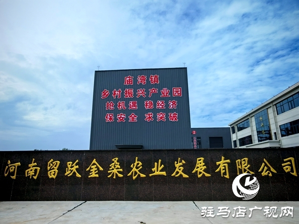 平輿縣廟灣鎮(zhèn)黑田村：桑葉月餅“烤”出致富新滋味