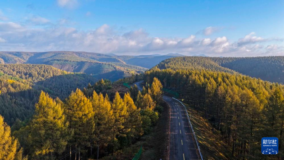 秋晨塞罕壩 風景美如畫