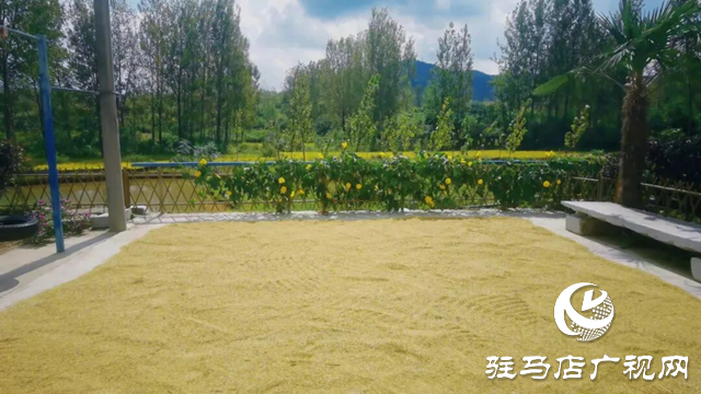 詩詠金秋 筆繪豐年