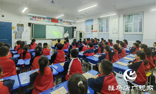 育見新力量丨蘇琳：十六載初心如磐 創(chuàng)新育人潤(rùn)無聲