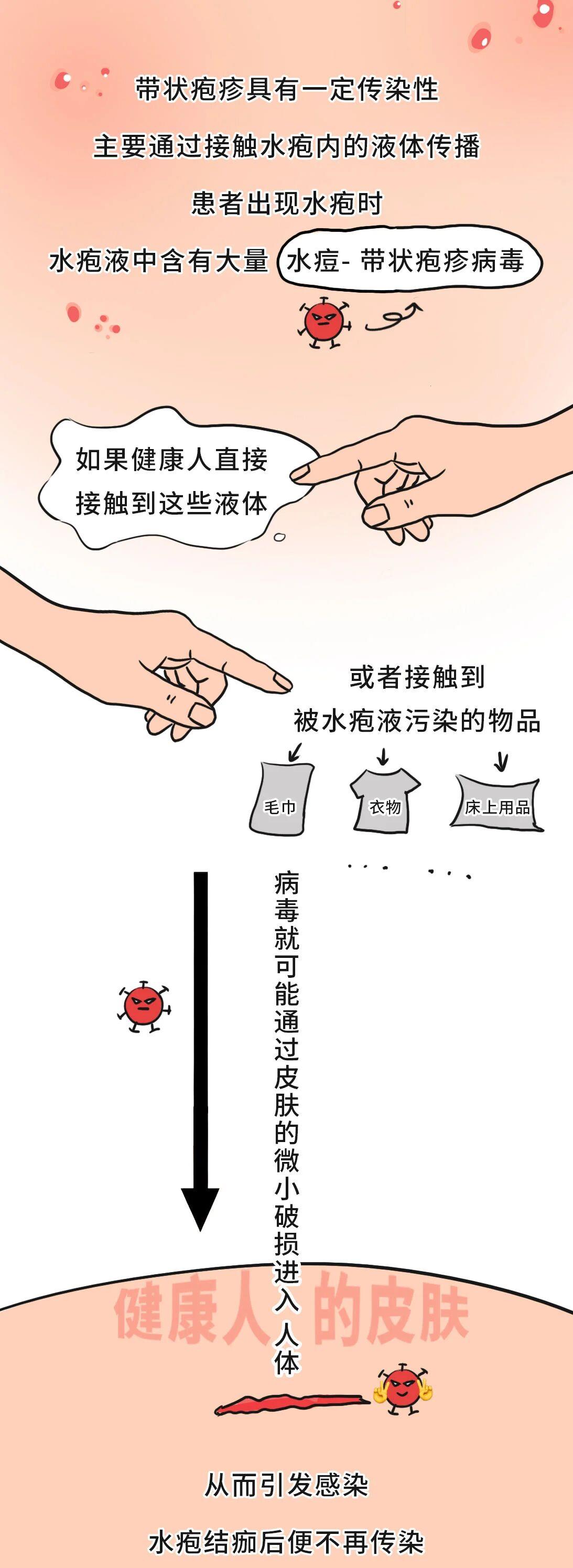 有必要帶爸媽打帶狀皰疹疫苗嗎？一圖了解