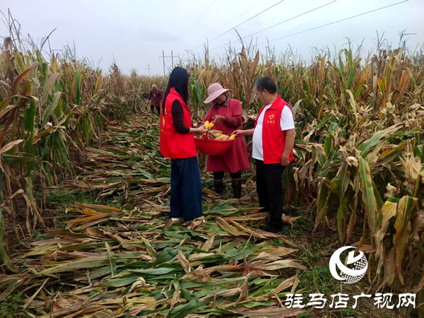 平輿縣李屯鎮(zhèn)：黨員干部奔一線 聯(lián)動尋策助農(nóng)忙