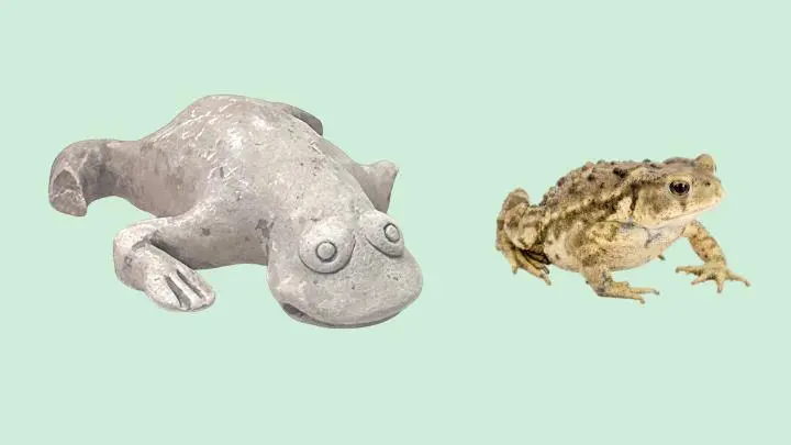 文博日歷丨古人的“丑萌”吉祥物和考試有關