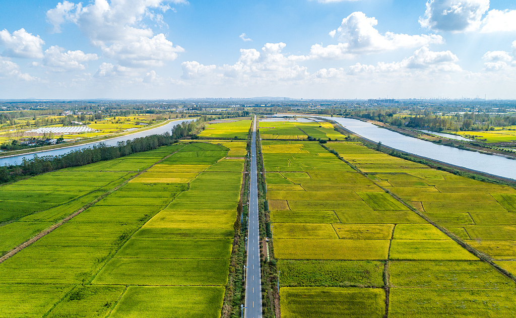 涉及民航鐵路客運(yùn)發(fā)票、金融服務(wù) 10月起一批新規(guī)將施行