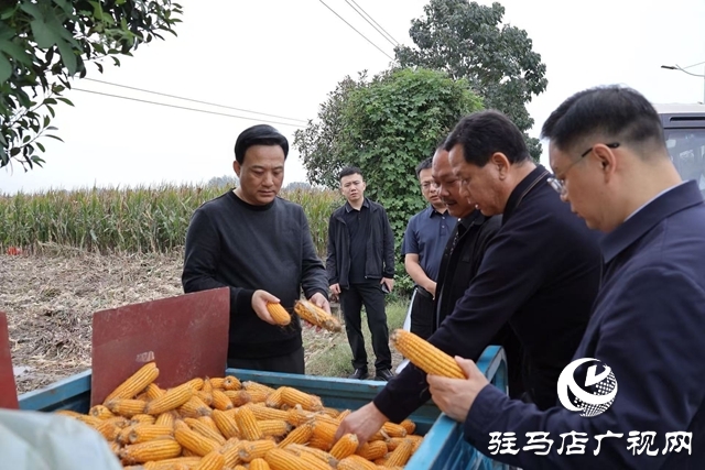  西平縣委書記侯公濤督導(dǎo)“三秋”農(nóng)業(yè)生產(chǎn)和巡河檢查工作