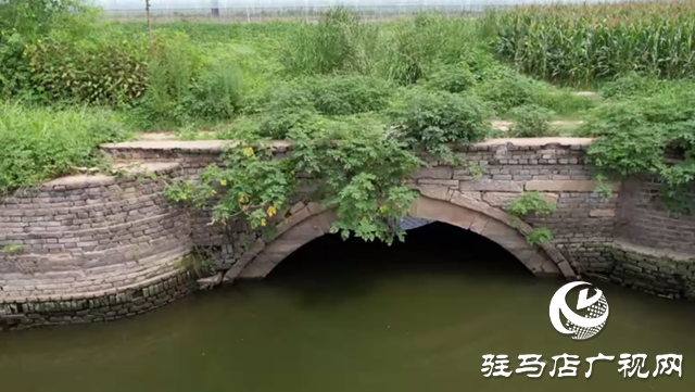 探訪葛陵村:觸摸千年文脈 守護歷史遺產(chǎn)?