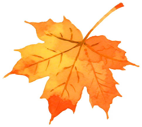 天中金秋繪斑斕 嵖岈山開(kāi)啟西游奇幻新篇