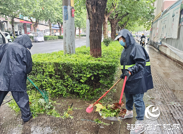 駐馬店經(jīng)濟開發(fā)區(qū)開展綠化環(huán)境專項整治 以整潔優(yōu)美城市面貌迎國慶中秋??