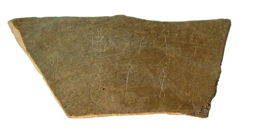 文博日歷丨山東大學(xué)收藏的這兩只小鳥 已經(jīng)飛了2800多年