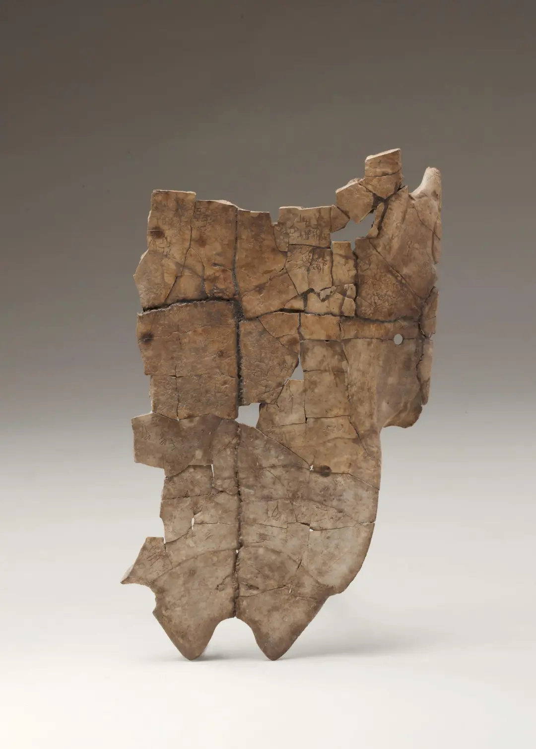 文博日歷丨山東大學(xué)收藏的這兩只小鳥 已經(jīng)飛了2800多年