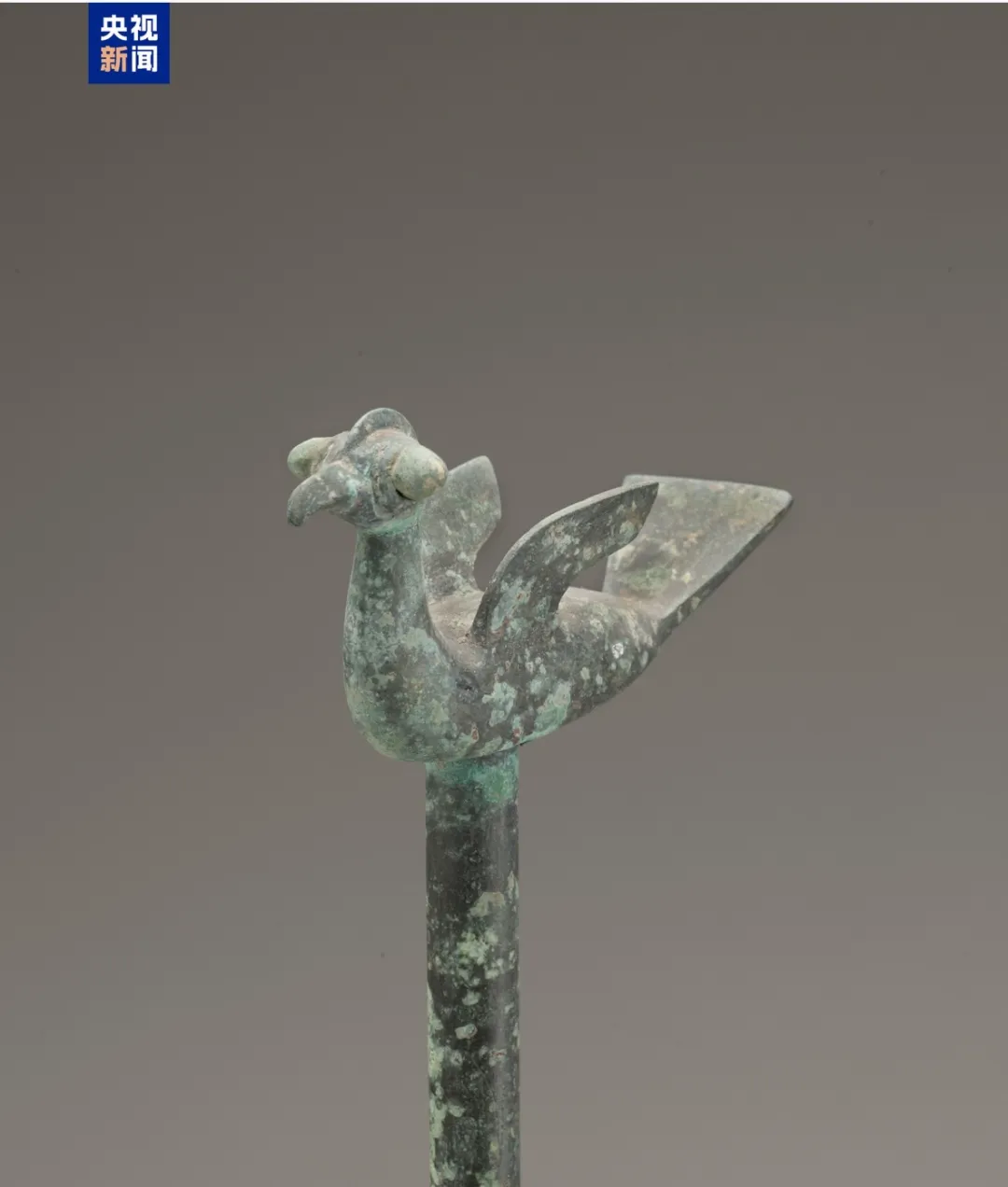 文博日歷丨山東大學(xué)收藏的這兩只小鳥 已經(jīng)飛了2800多年