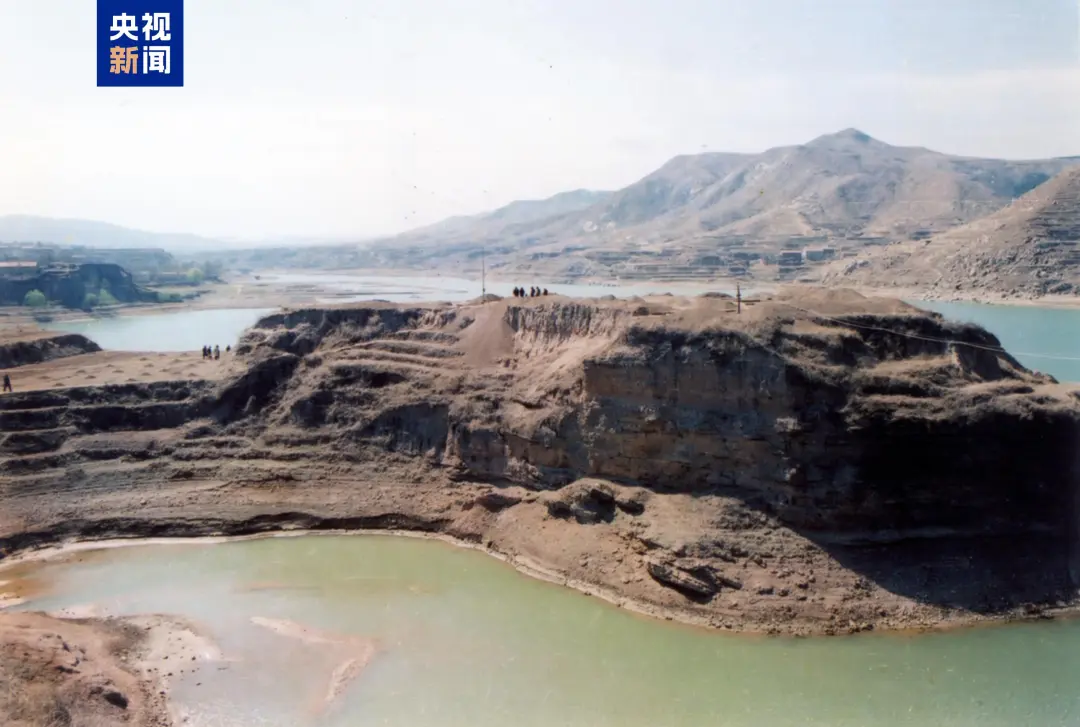 文博日歷丨山東大學(xué)收藏的這兩只小鳥 已經(jīng)飛了2800多年