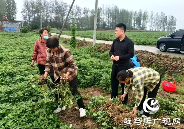 雨里搶、晴里收！萬金店鎮(zhèn)干群接力“戰(zhàn)”天氣、護(hù)糧倉