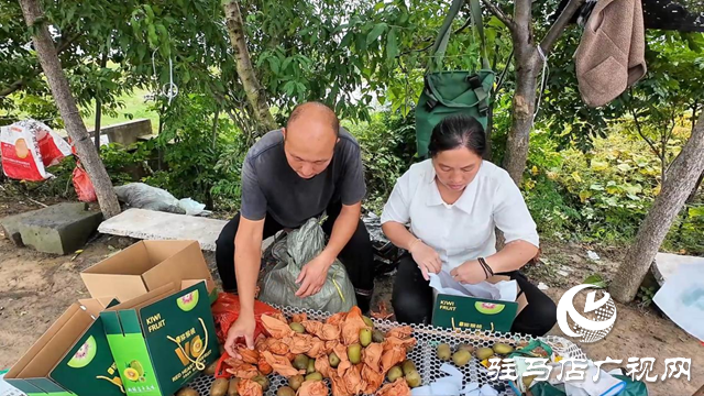正陽縣閭河鄉(xiāng)：生態(tài)種植結(jié)碩果 鋪就鄉(xiāng)村振興路