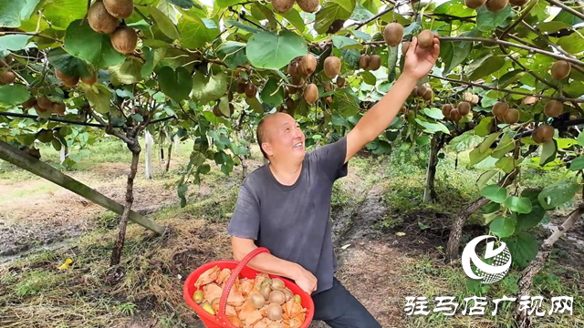 正陽縣閭河鄉(xiāng)：生態(tài)種植結(jié)碩果 鋪就鄉(xiāng)村振興路