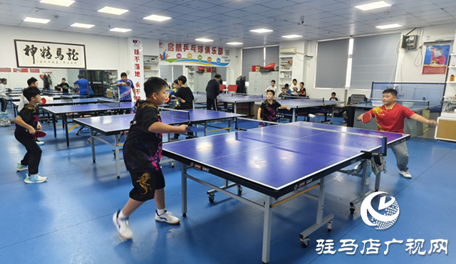 駐馬店青少年乒乓球訓(xùn)練熱火朝天 小球員揮拍詮釋“少年強(qiáng)”????????