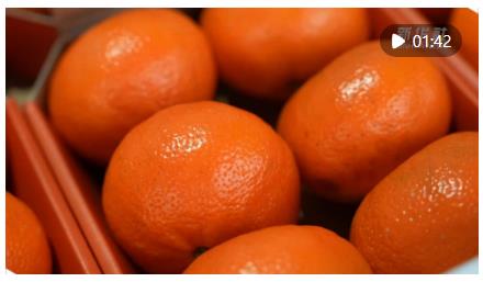 雙節(jié)同慶 進(jìn)口水果熱銷中國中部市場