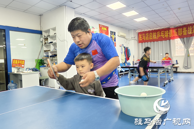 駐馬店青少年乒乓球訓(xùn)練熱火朝天 小球員揮拍詮釋“少年強(qiáng)”????????