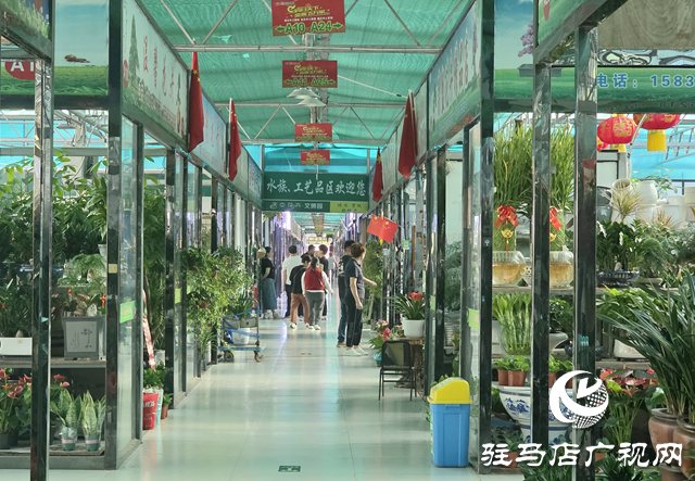 駐馬店：國慶假期花卉市場銷售火熱 繽紛花卉添彩節(jié)日氛圍??