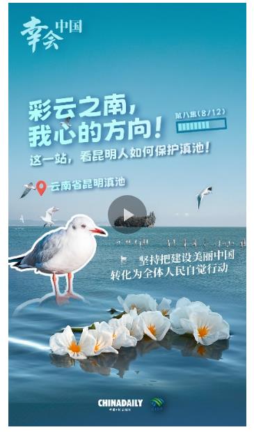 幸會(huì)中國｜堅(jiān)持把美麗中國建設(shè)轉(zhuǎn)化為全民行動(dòng)，守護(hù)高原明珠！