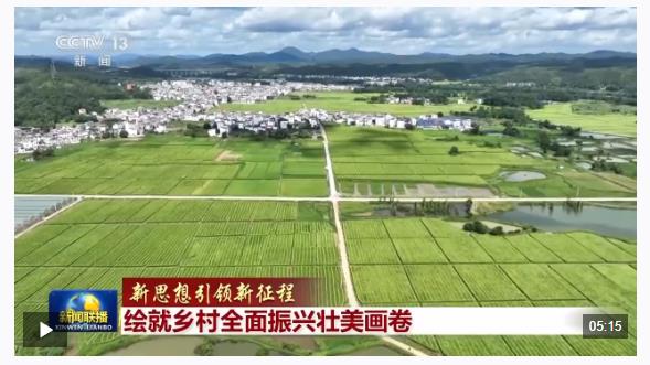 新思想引領(lǐng)新征程丨繪就鄉(xiāng)村全面振興壯美畫卷
