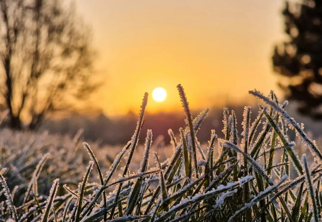 “早寒露”=冷冬預(yù)警？老祖宗的天氣預(yù)測(cè)，今年準(zhǔn)不準(zhǔn)？