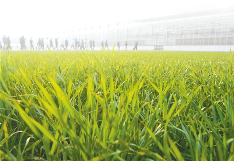 河南瞄準(zhǔn)“四強(qiáng)二高” 建設(shè)農(nóng)業(yè)強(qiáng)省可這樣破局