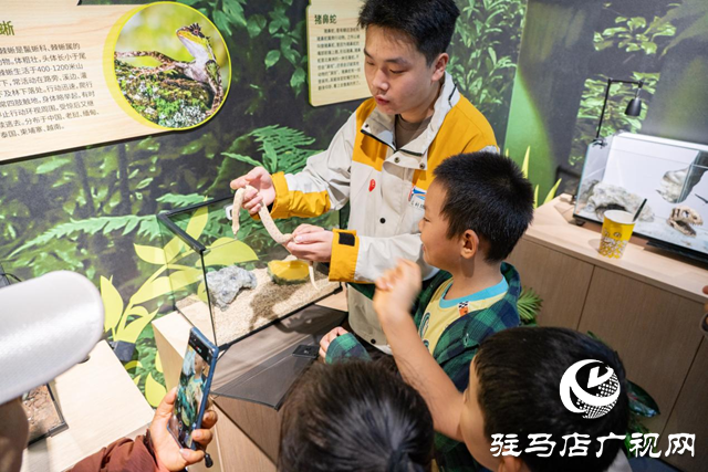 駐馬店市科技館:“雙節(jié)”科普活動(dòng)吸引1.4萬(wàn)人次參與 沉浸式體驗(yàn)激發(fā)青少年科學(xué)熱情??