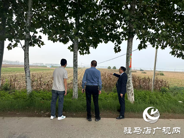 平輿縣射橋鎮(zhèn):干群同心齊上陣 搶收搶種保歸倉