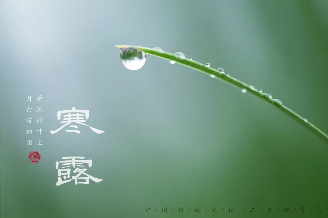 “早寒露”=冷冬預(yù)警？老祖宗的天氣預(yù)測(cè)，今年準(zhǔn)不準(zhǔn)？