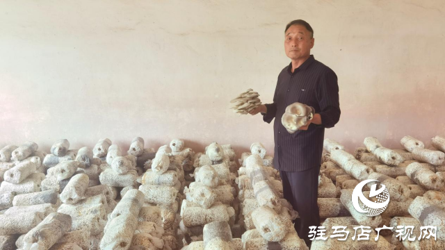 高建林:以食用菌種植助力鄉(xiāng)村振興