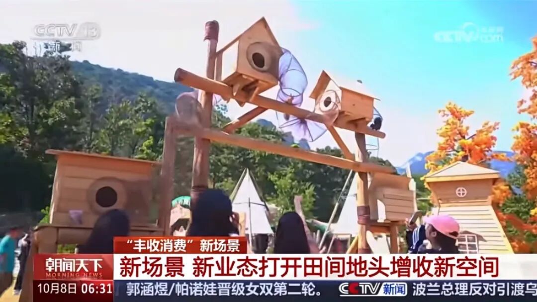 人民日?qǐng)?bào)、央視聚焦60余次！