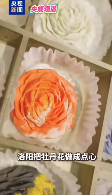 人民日?qǐng)?bào)、央視聚焦60余次！